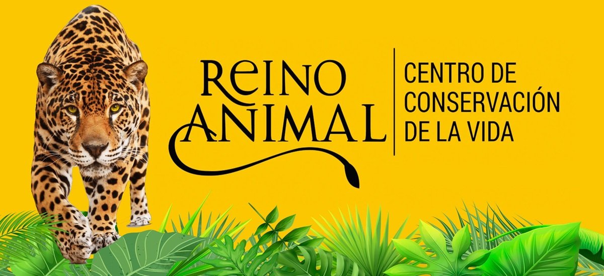 Imagen del artículo