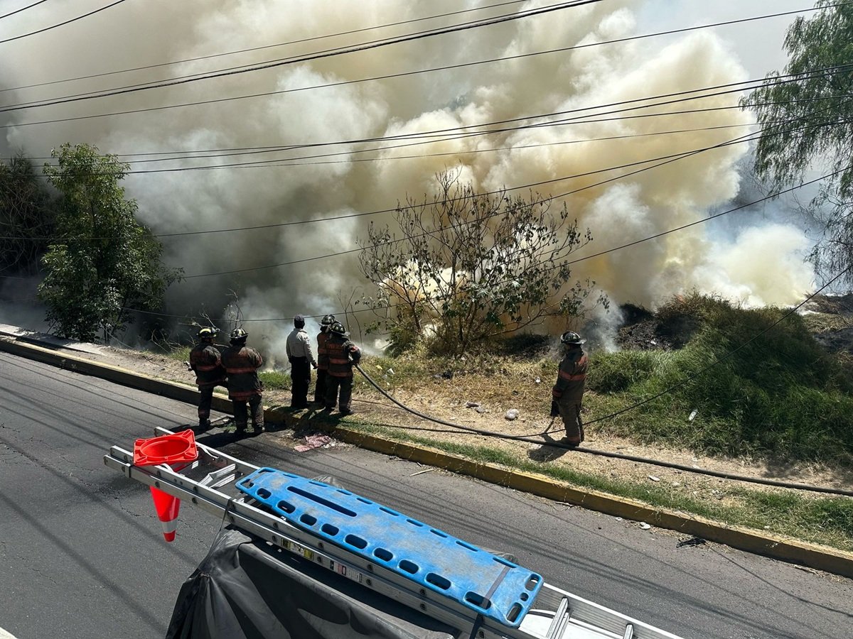 Imagen del artículo