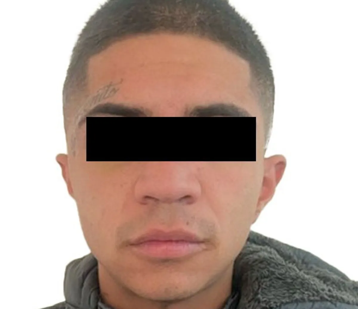 Imagen del artículo