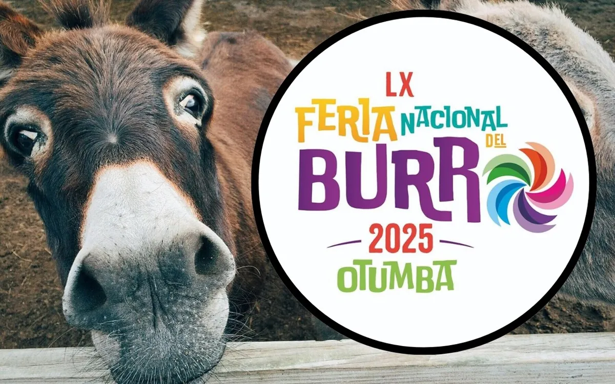 Imagen del artículo