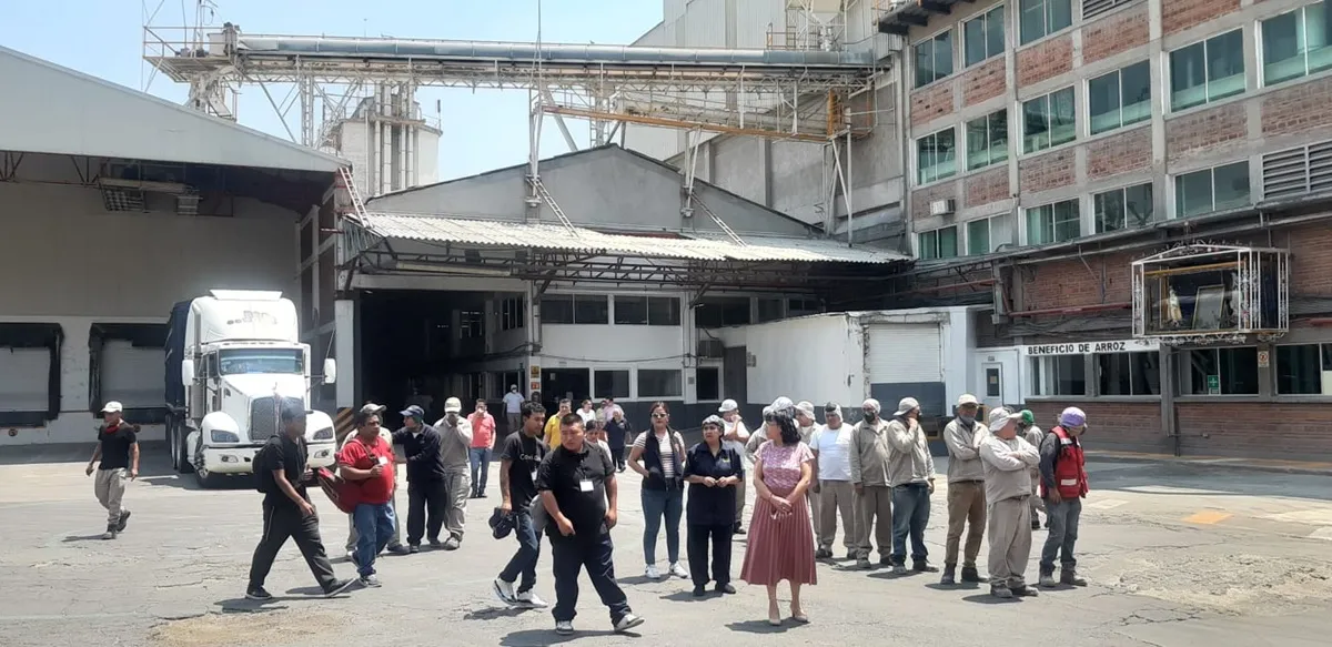 Imagen del artículo
