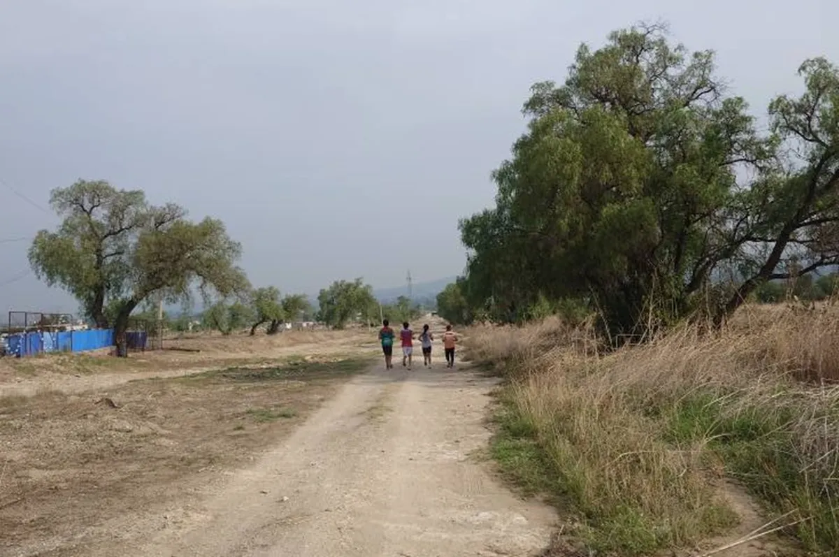 Imagen del artículo