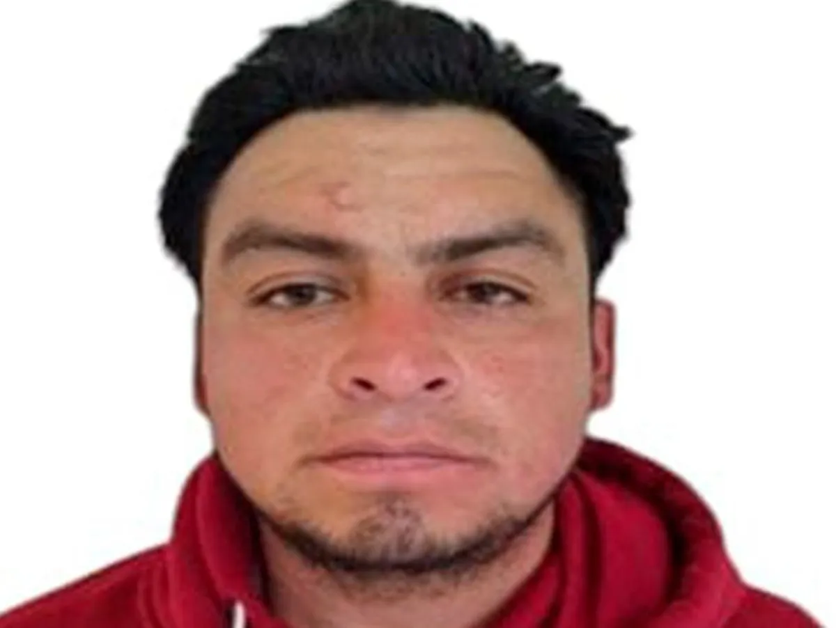 Imagen del artículo