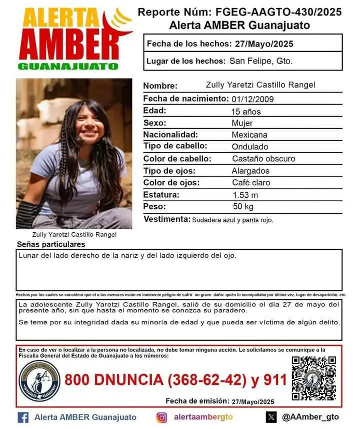 Imagen 2