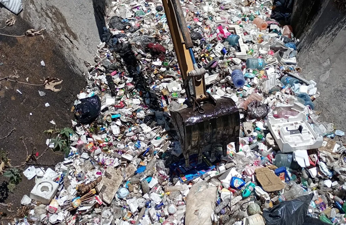 Imagen del artículo