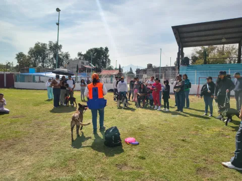 Capacitan a dueños de mascotas sobre adiestramiento en Tultepec