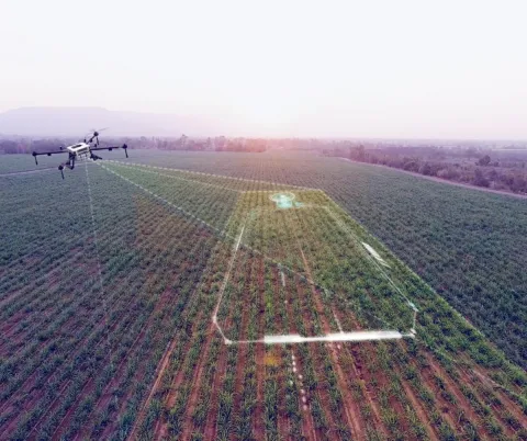 Chapingo Anuncia III Feria Científica con 250 Talleres