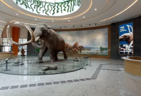 Consolida Tecámac su oferta turística para este verano