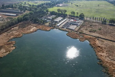 Convierten aguas tratadas en santuario de aves en Sierra Hermosa