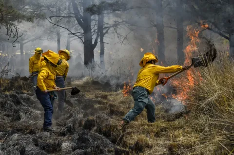 Coordinan brigadas municipales manejo del fuego en suelo mexiquense