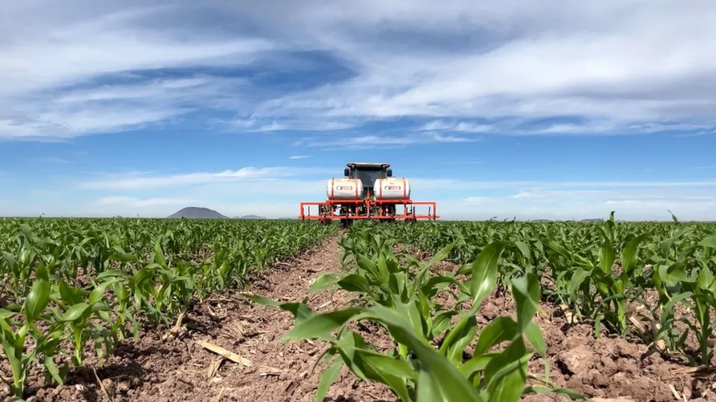 Exigen apoyos y créditos blandos para productores sinaloenses