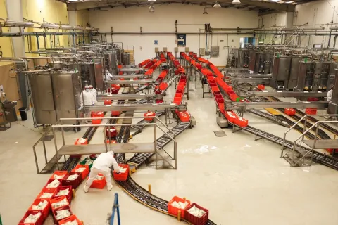 Garantizan abasto de leche mexicana sin importar polvo extranjero.