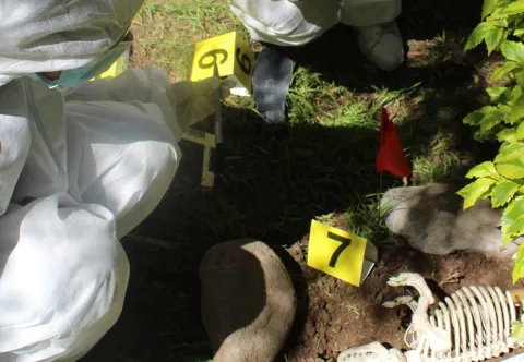 Imparten taller de medicina veterinaria forense para proteger a perros y gatos