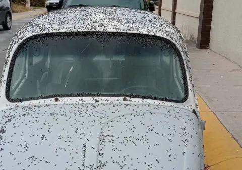 Implementa Gobierno de Tizayuca operativo contra focos de infección sanitaria