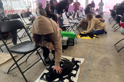 Impulsa Rosi Wong jornadas de esterilización gratuita en Tecámac