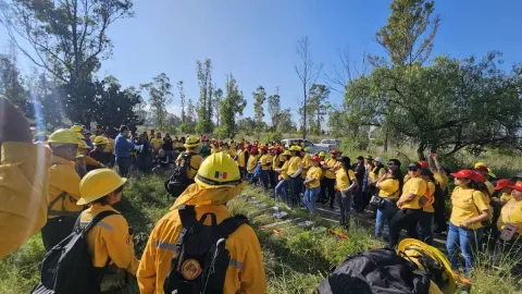 Presenta UACh informe de avances en educación y protección forestal