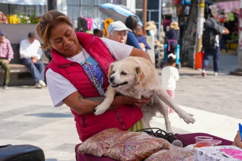 Realizan jornada de adopción animal en municipio de La Paz