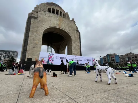 Realizan primer taller masivo de primeros auxilios y RCP para personas y animales en la CDMX