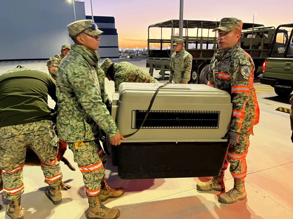 Refuerza Ejército búsqueda de trabajadores atrapados en El Rosario