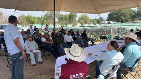 Reportan agricultores de Chiautla crisis por robos en parcelas