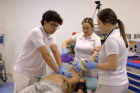 Requiere formación de Médico Cirujano hasta siete años de especialización