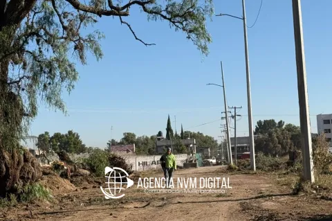 Talan Árboles por la Noche en Otumba; Vecinos Denuncian un "Atentado Ambiental"