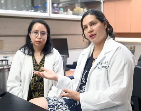 Vinculan químicos de plásticos con cáncer de mama